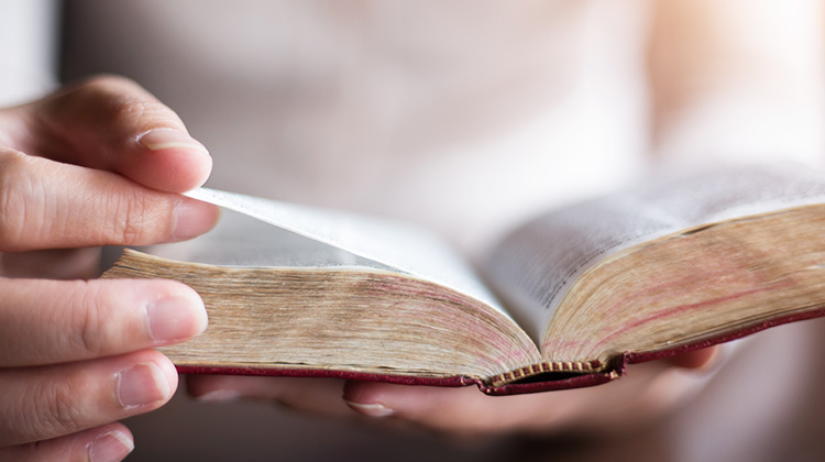 how-to-study-the-bible.jpg